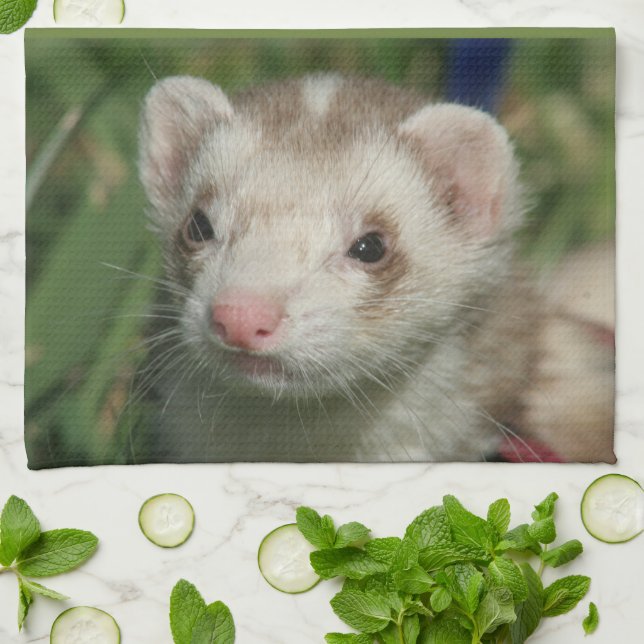 Kitchen Towels (Folded)