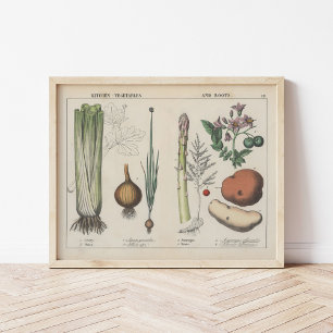 Kitchen Vegetables   Charlotte Mary Yonge Poster