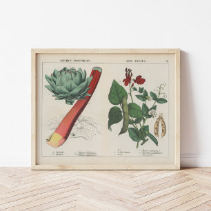 Kitchen Vegetables   Charlotte Mary Yonge Poster