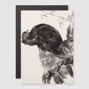 Kite an Indian Fantailed Pigeon
