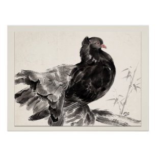Kite an Indian Fantailed Pigeon Poster
