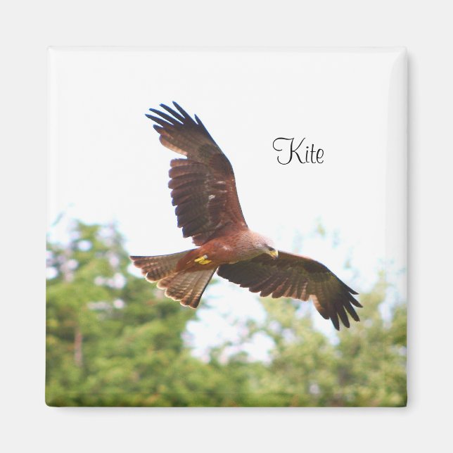 Kite in flight..... magnet (Front)