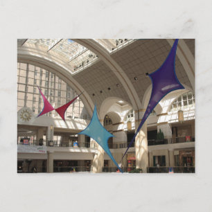 Kites and Sunbeams Postcard
