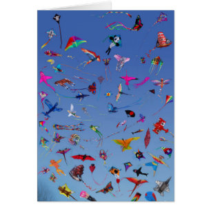 Kites Kites Kites In the Sky