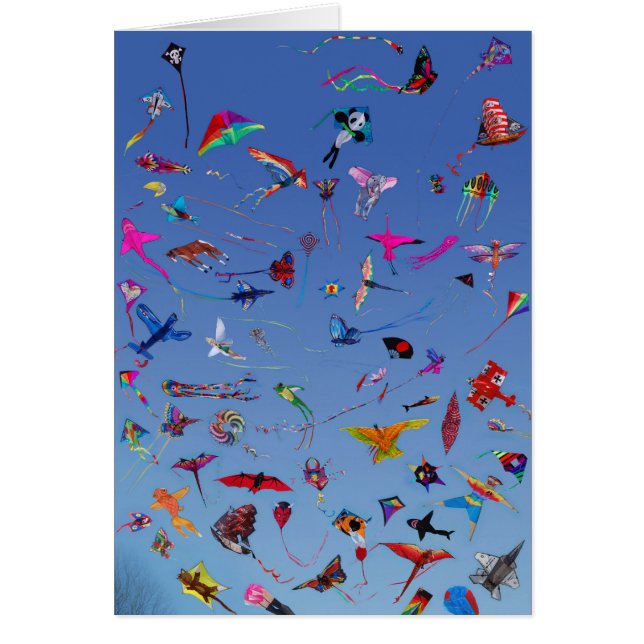 Kites Kites Kites In the Sky (Front)
