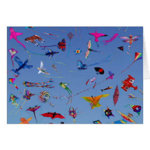 Kites Kites Kites In the Sky