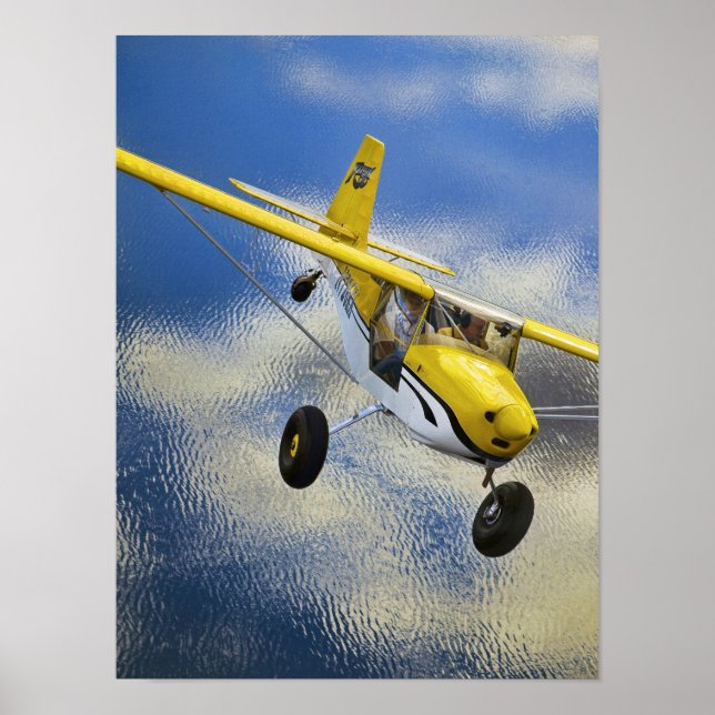 Kitfox Above Lake Poster (Front)