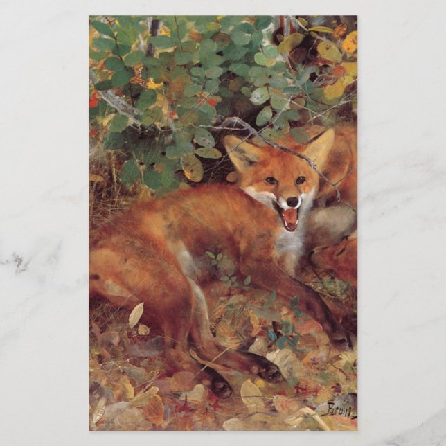 Kitsune (Front)