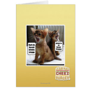 Kitteh carols
