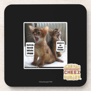 Kitteh carols coaster