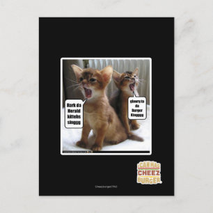 Kitteh carols postcard