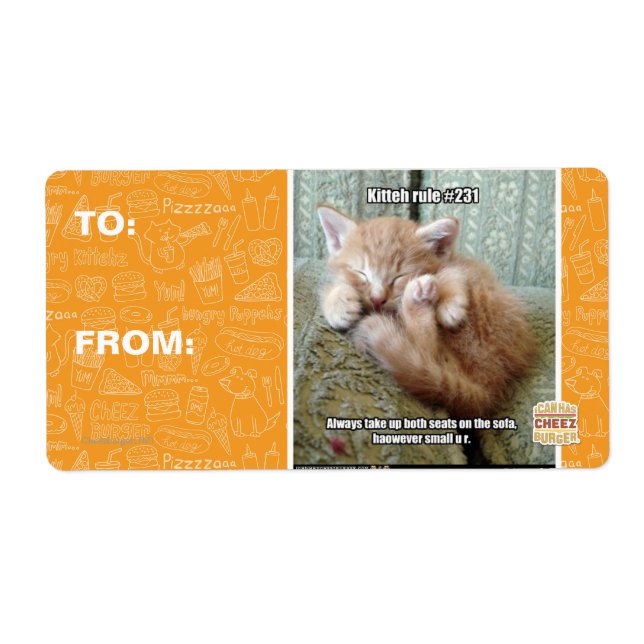 Kitteh rule #231 (Front)