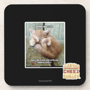 Kitteh rule #231 coaster