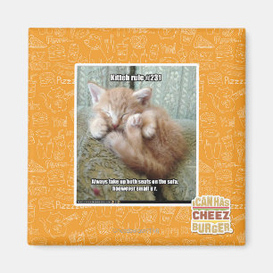 Kitteh rule #231 magnet