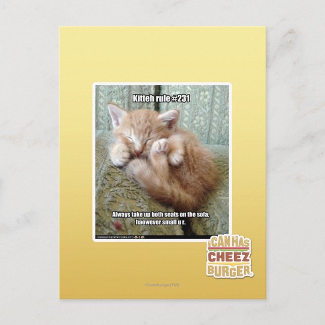 Kitteh rule #231 postcard (Front)