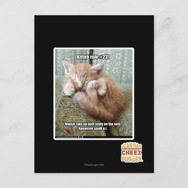 Kitteh rule #231 postcard (Front)