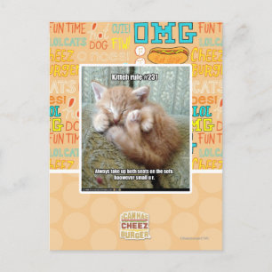 Kitteh rule #231 postcard