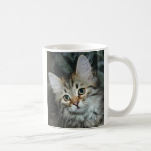 Kitten 2 Mug