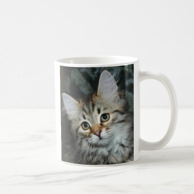 Kitten 2 Mug (Right)