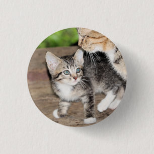 Kitten 3 Cm Round Badge
