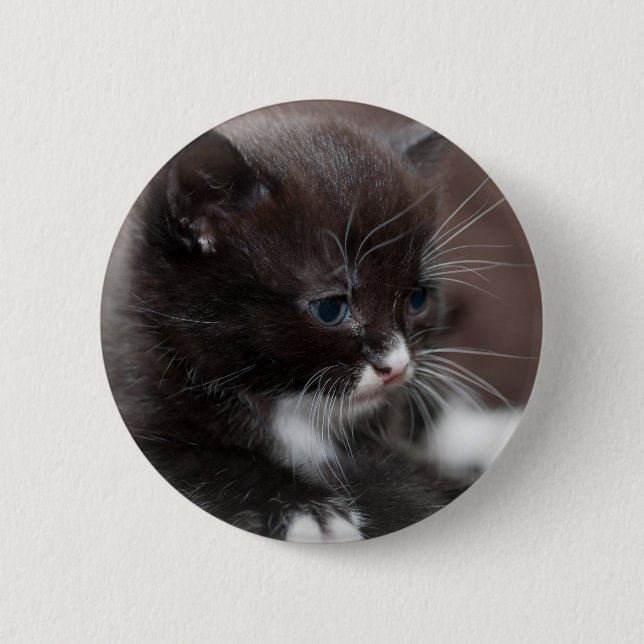 Kitten 6 Cm Round Badge (Front)