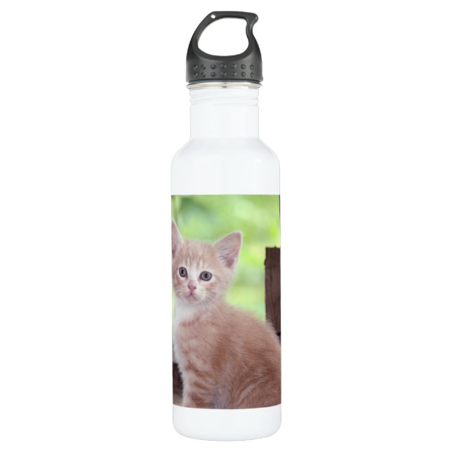 Kitten 710 Ml Water Bottle (Front)