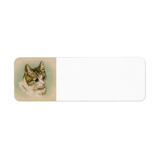 Kitten address label return address label
