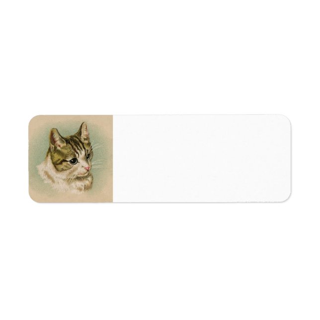 Kitten address label return address label (Front)