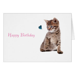 Kitten and Butterfly image for greeting-card