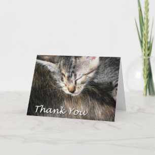 Kitten and Cat Thank You Card