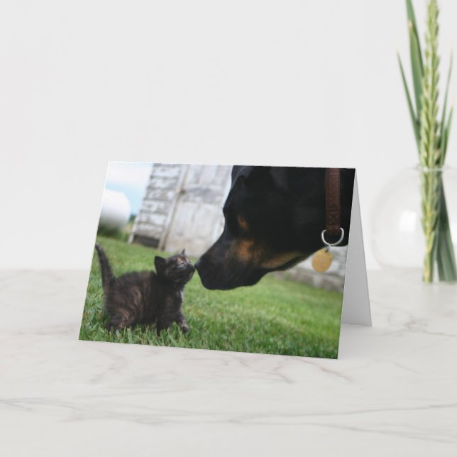 Kitten and dog encouragement greeting card (Front)
