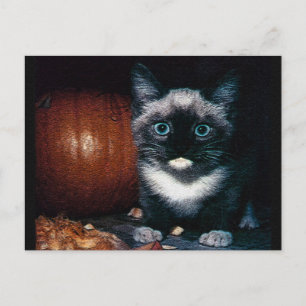 Kitten and Pumpkin for Halloween Postcard