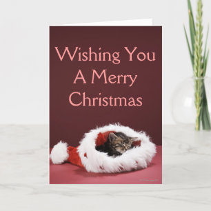 Kitten asleep in Christmas hat Holiday Card