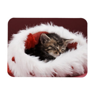 Kitten asleep in Christmas hat Magnet
