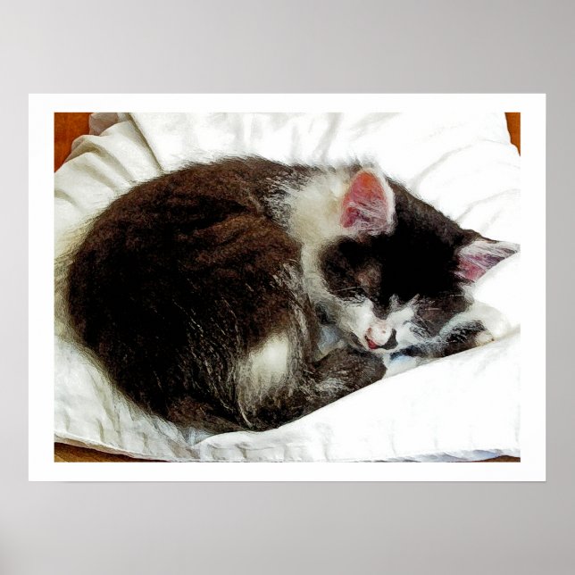 Kitten asleep on White Comforter Poster (Front)