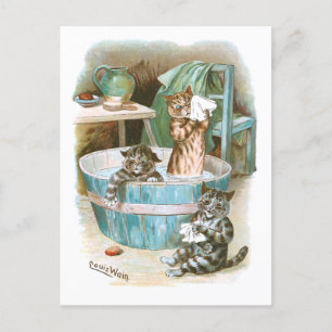 Kitten Bath by Louis Wain Postcard
