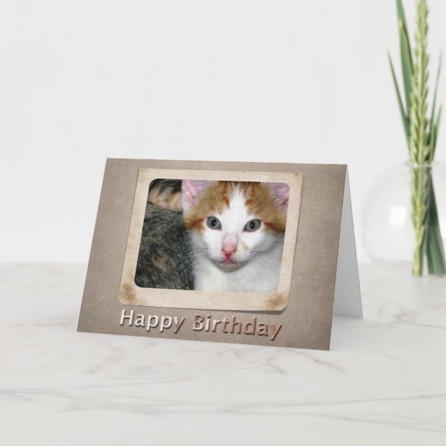 Kitten Birthday Card (Front)