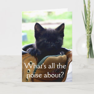 Kitten Birthday Card