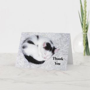 Kitten Black and White Sleeping Photo Thank You Card