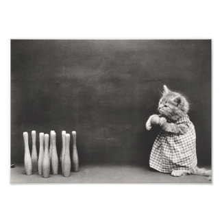 Kitten Bowling Photo Print