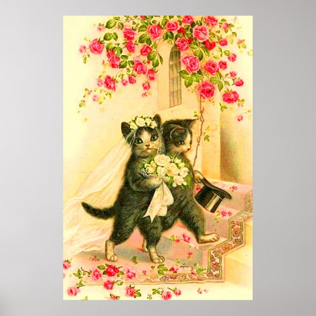 kitten bride and groom poster (Front)