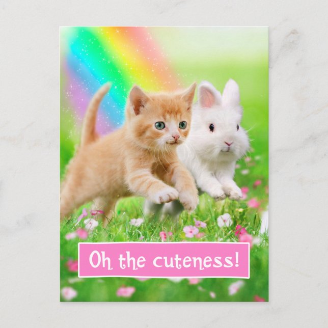 Kitten & Bunny with Rainbow Postcard (Front)