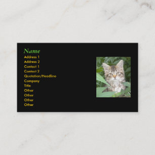 Kitten Business Cards