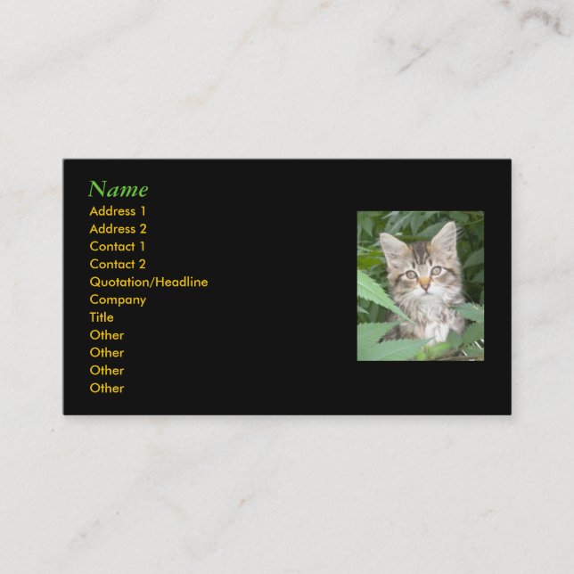 Kitten Business Cards (Front)