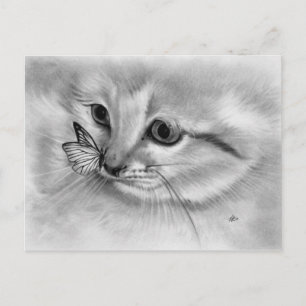 Kitten Butterfly Postcard