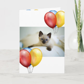 Kitten  card