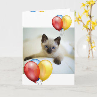 Kitten  card