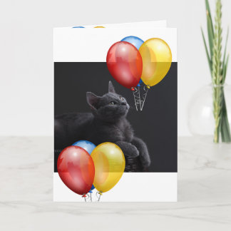 Kitten  card