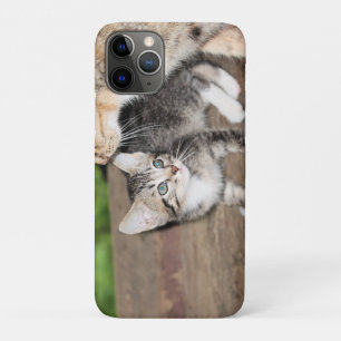 Kitten iPhone 11 Pro Case