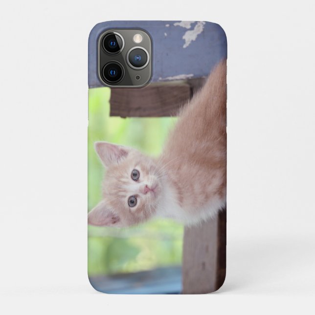 Kitten Case-Mate iPhone Case (Back)